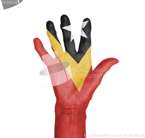 Image of Palm of a woman hand, painted with flag