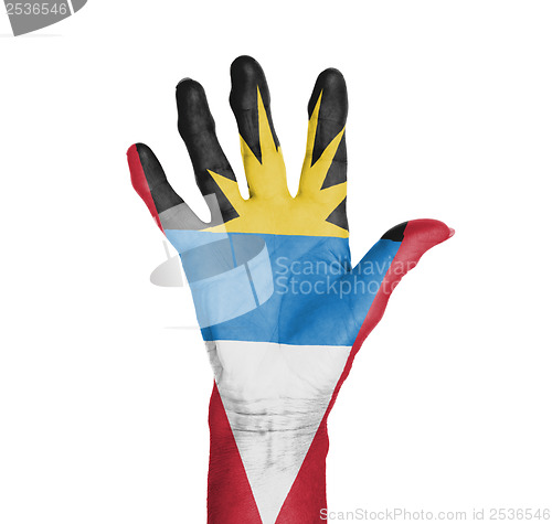 Image of Palm of a woman hand, painted with flag