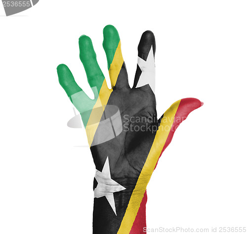 Image of Palm of a woman hand, painted with flag