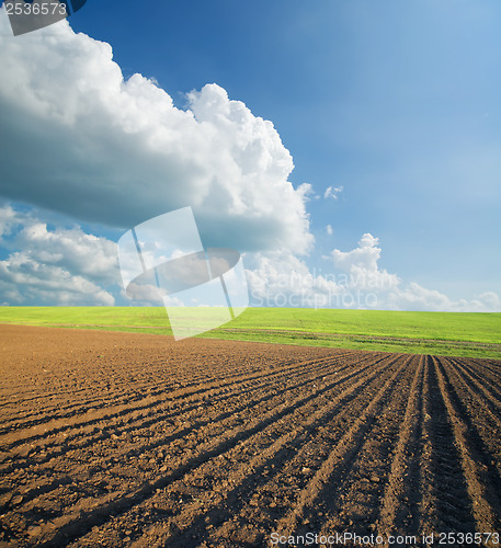 Image of ploughed field