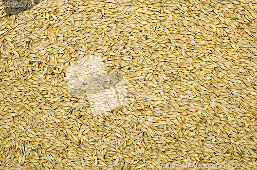 Image of grain as good natural background