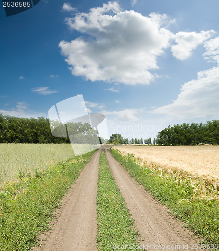 Image of dirty road between green and gold fields