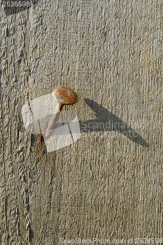 Image of textured surface of board