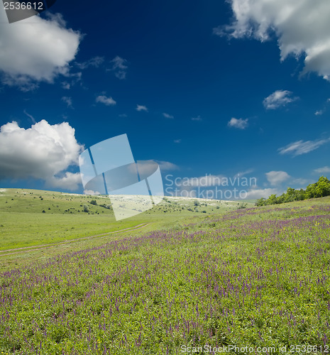 Image of green meadow under cloudy sky