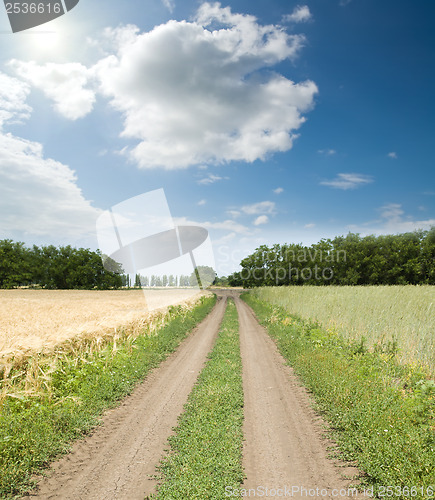 Image of dirty road between fields