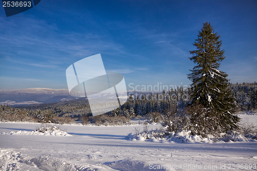 Image of Snowy landscape