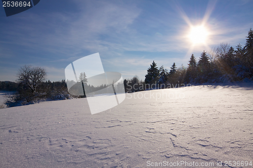 Image of Snowy panorama