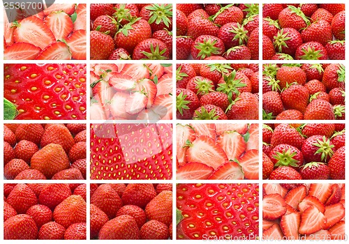 Image of Strawberry