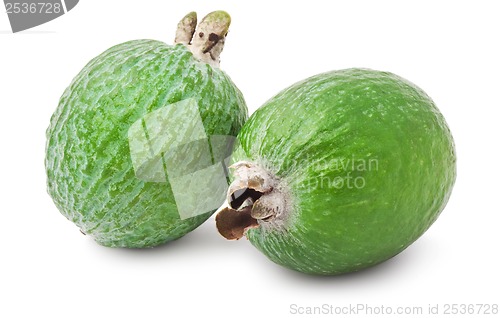 Image of Feijoa fruit