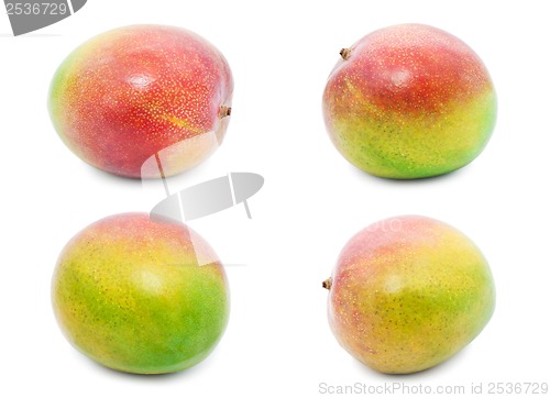 Image of Mango