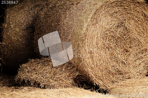 Image of hay bales in a field ( detail )