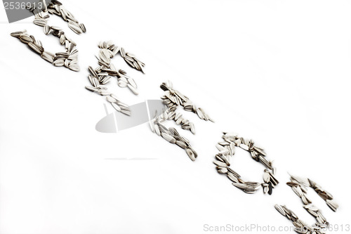 Image of Sunflower seed