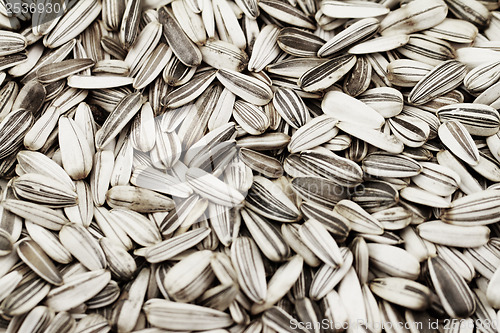 Image of Sunflower seeds