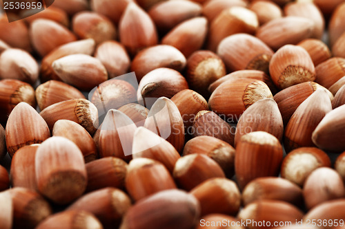 Image of Tasty hazelnuts, close up