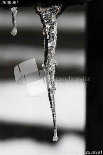 Image of Icicles