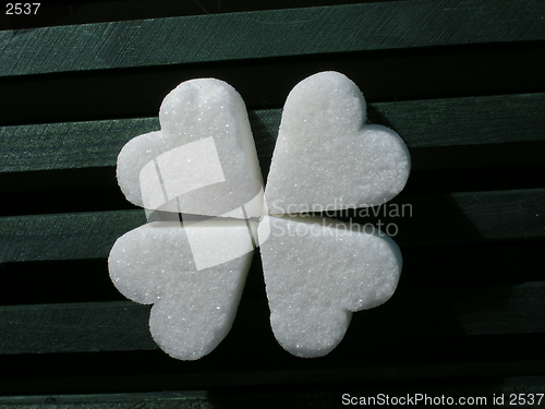 Image of Sugar Clover