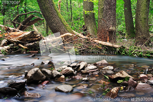 Image of River