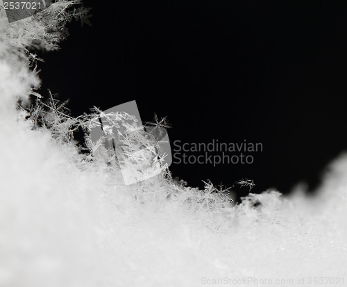 Image of Snowflake in white snow