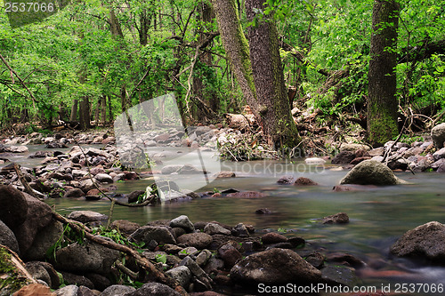 Image of River