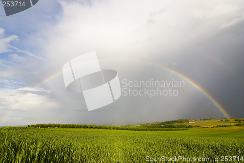 Image of Perfect rainbow