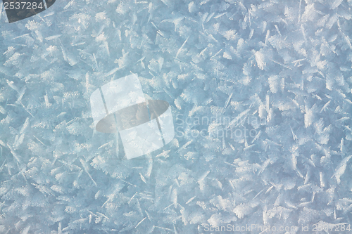 Image of Snow crystals