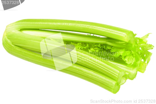 Image of Fresh ripe celery