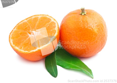 Image of Tangerines