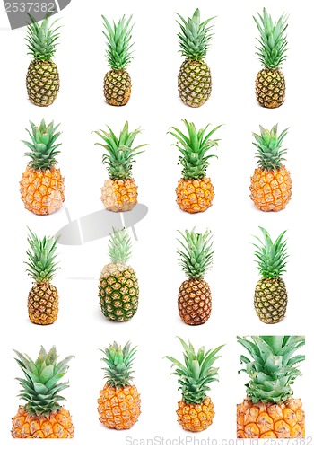 Image of Pineapple