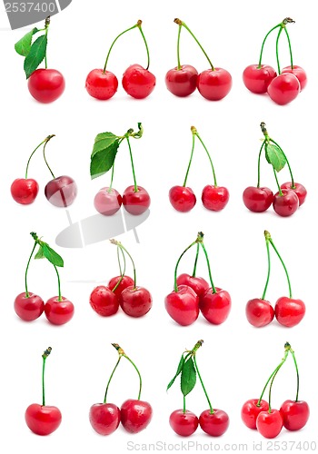 Image of Cherry