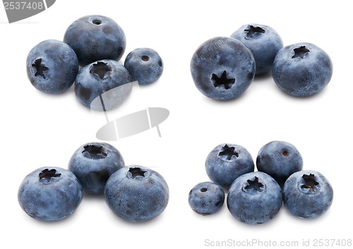 Image of Blueberry set