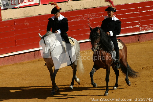 Image of Horses and riders in Spain