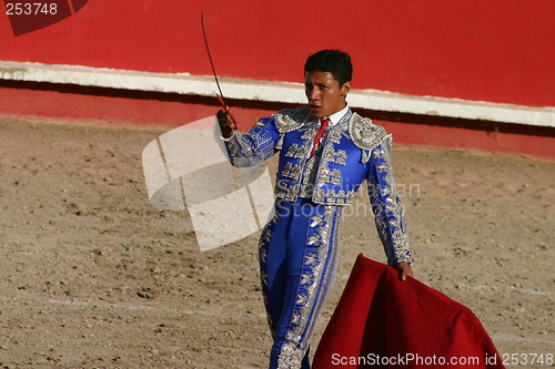 Image of Young bullfighter