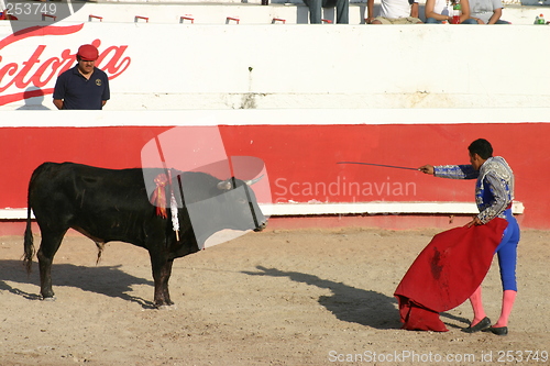 Image of Young bullfighter