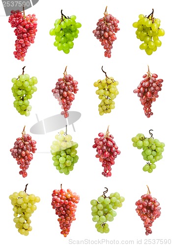 Image of Grapes