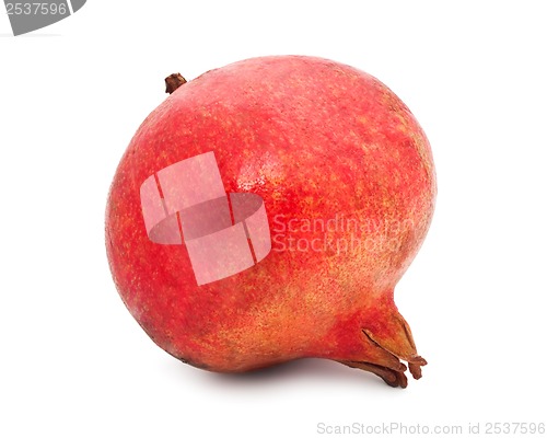 Image of Pomegranate