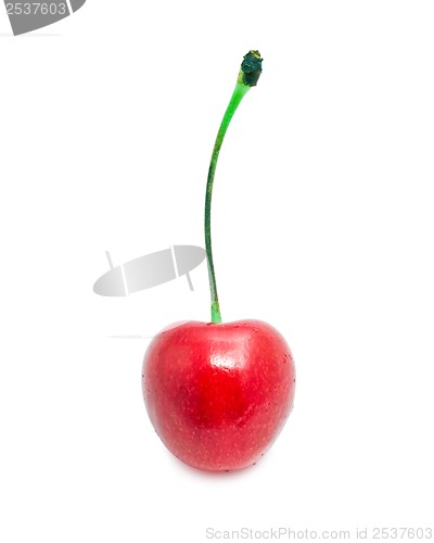 Image of Red cherry