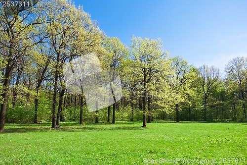 Image of Summer landscape