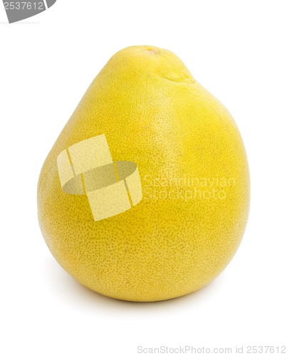 Image of Pomelo