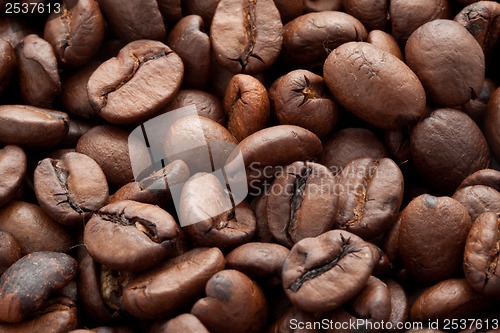 Image of Coffee beans