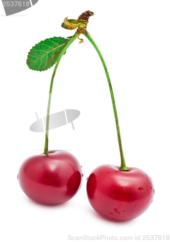Image of Red cherry