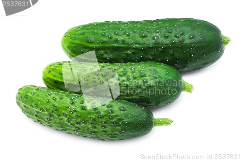 Image of Fresh cucumber