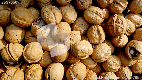 Image of Many Walnuts in shells