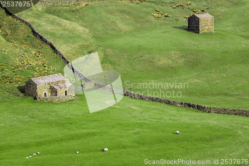 Image of Sheep farm