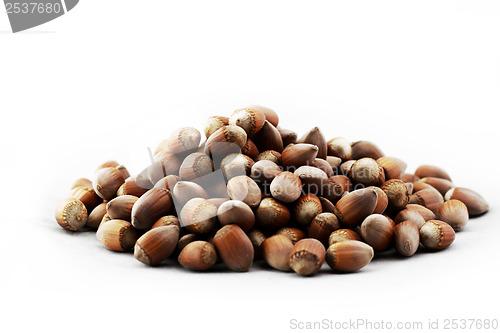 Image of Tasty hazelnuts, close up