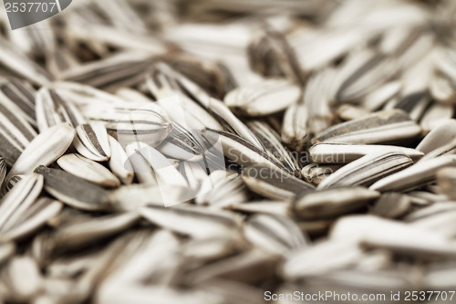 Image of Sunflower seeds