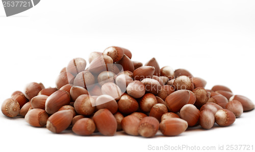 Image of Tasty hazelnuts, close up
