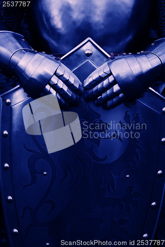 Image of Knight - with blue color