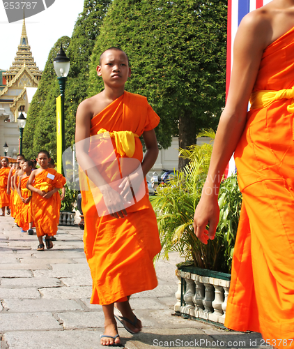Image of Young monks