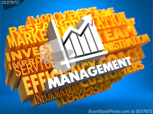 Image of Management. Wordcloud Concept.
