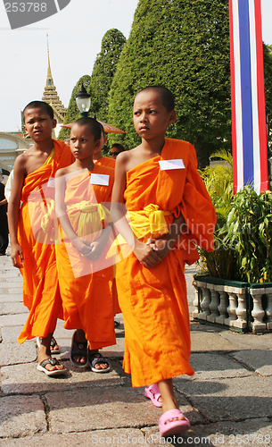 Image of Young monks